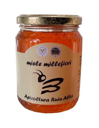 Miele Millefiori Apicoltura Ruiu Alba