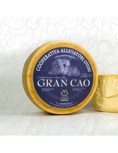 Gran Cao Pecorino Stagionato Cao Formaggi