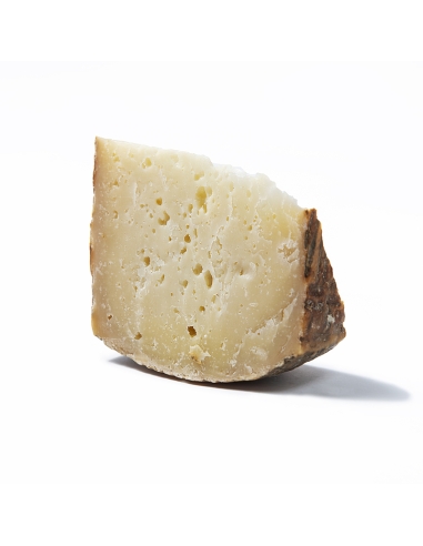 Pecorino Gavoesu