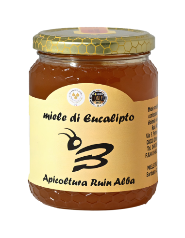 Miele di Eucalipto 250gr Apicoltura Ruiu Alba